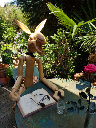 photo AAI_20180701_141602