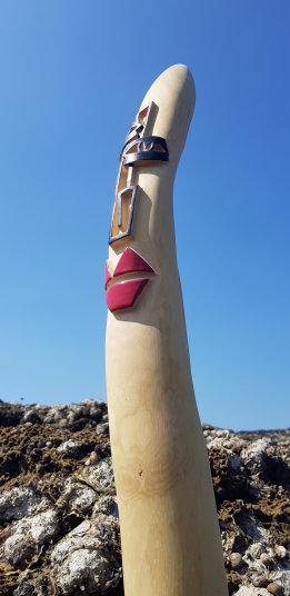 photo AEE_20210826_135622