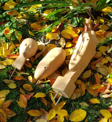 photo AEQ_20211106_141909