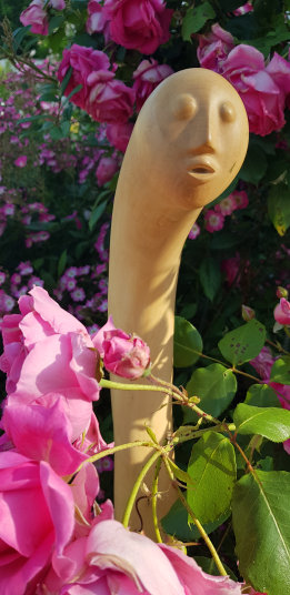 photo AGZ_20230603_083813