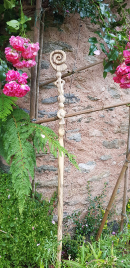 photo AHB_20230619_082910