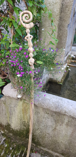 photo AHF_20230719_174941