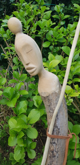 photo AII_20240411_181107