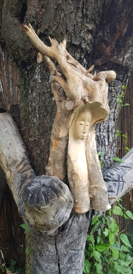 photo AIU_20240522_200940