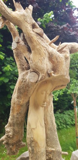 photo AIV_20240524_104401