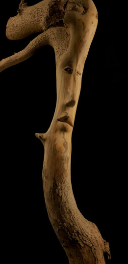 photo AJL_20240901_203520