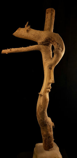 photo AJM_20240901_203825