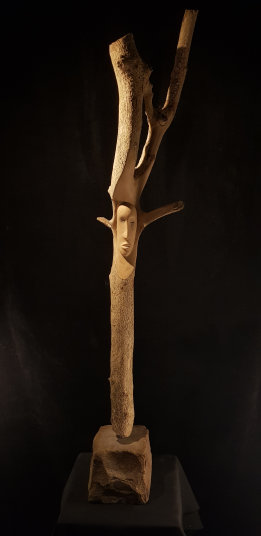 photo AJT_20240903_190325