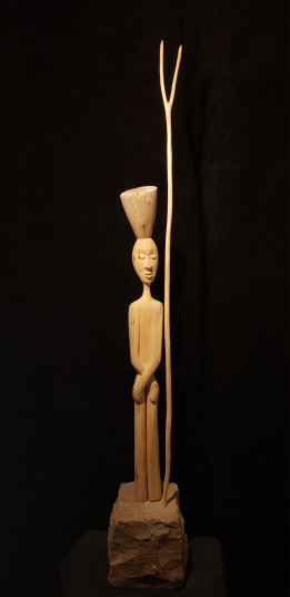 photo AKV_20250128_181721