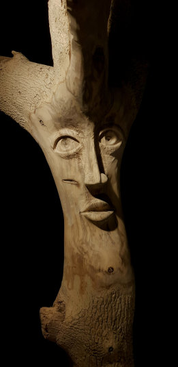 photo ALV_20250514_115804