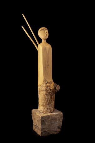 photo APO_Francois_Pernette_38