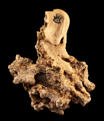 photo AQH_Francois_Pernette_67