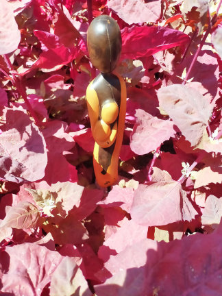 photo ARO_image0000001(5)