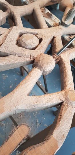 photo AYL_20240206_152212